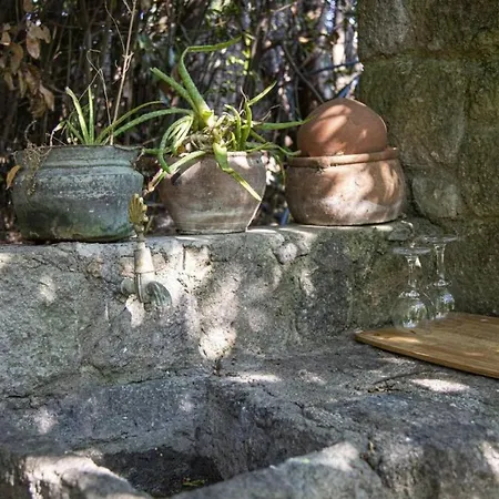 Cozy And Secluded House With Garden In Bodrum Willa Bitez